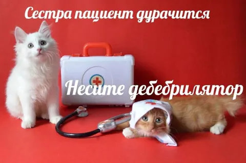 Котята и дефебриллятор