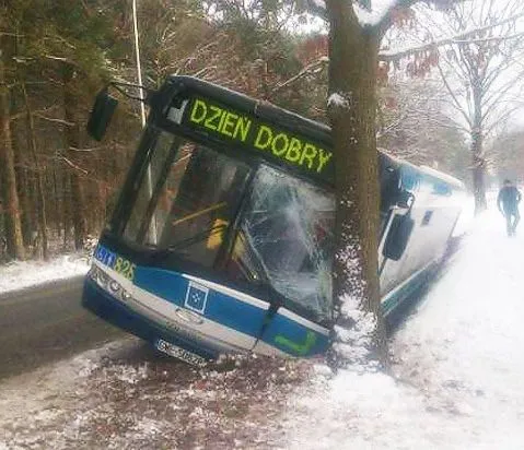 Dzień dobry w rowie