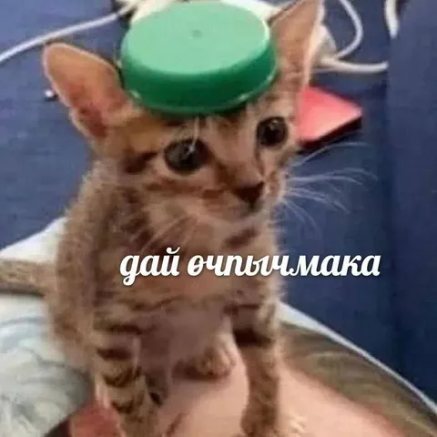 Кот с зелёной кнопкой
