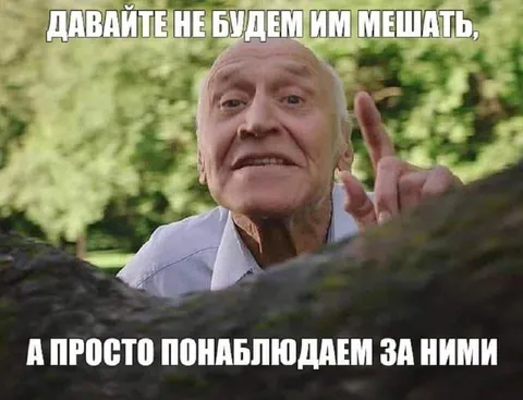 Давайте не будем им мешать