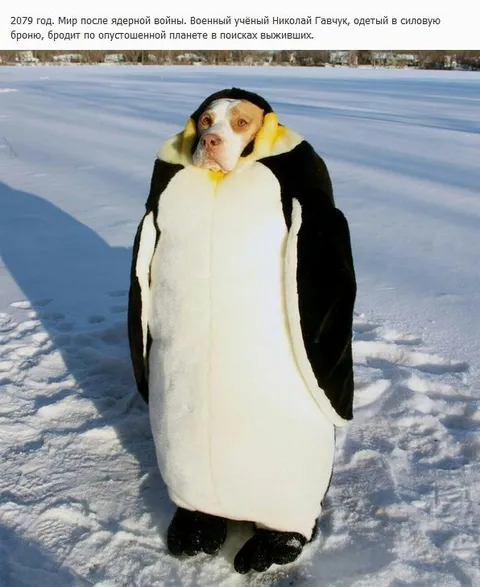 Выживший учёный в костюме пингвина