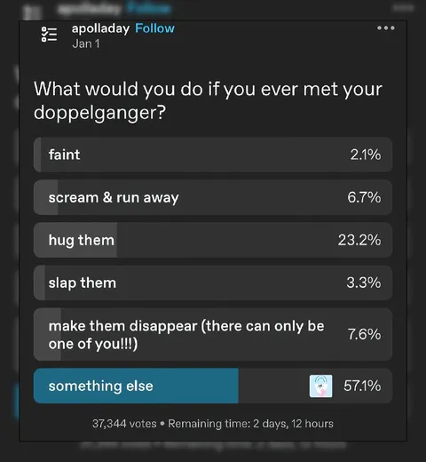 What Would You Do If You Met Your Doppelganger
