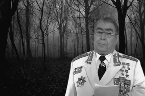 Сюсимасиси в мрачном лесу