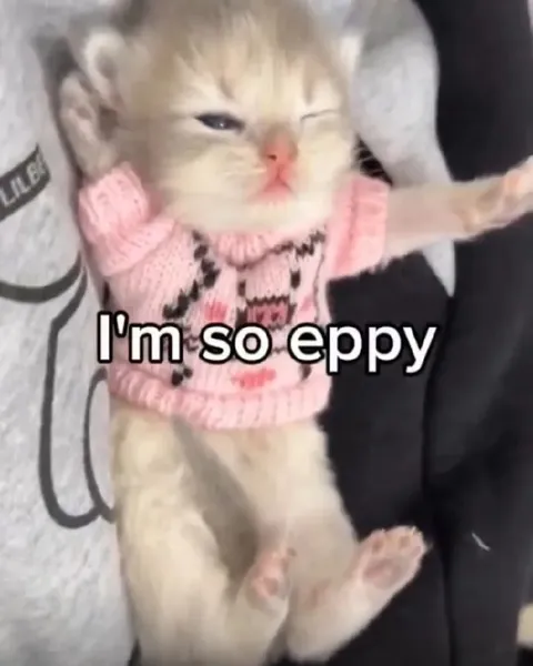 I'm So Eppy Kitten
