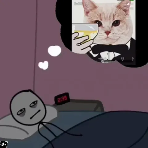 Sleepless Cat Watching Cat Videos