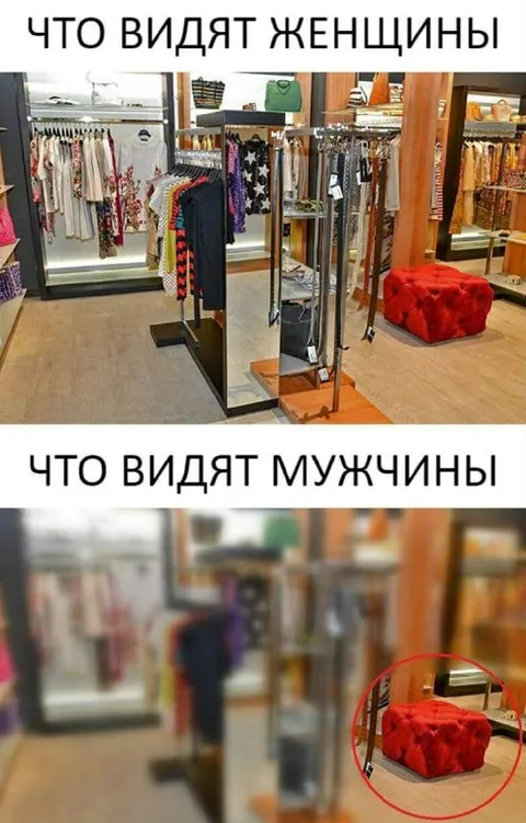Что видят женщины и мужчины