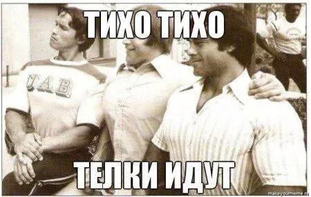 Тихо, телки идут