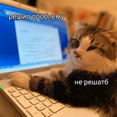 Кот решил проблему, но не решает