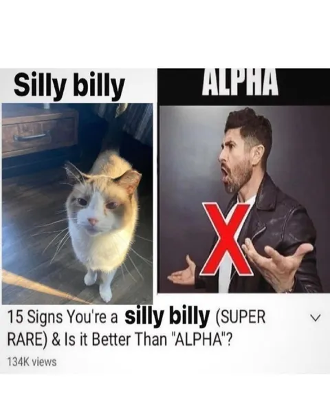 Silly Billy Versus Alpha