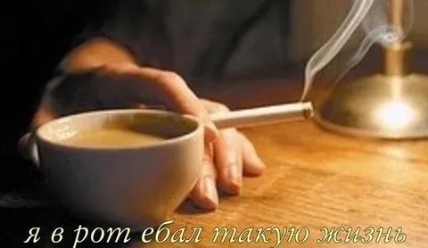 Я в рот ебал такую жизнь