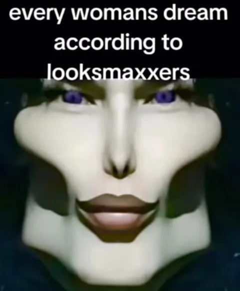Every Woman's Dream According to Looksmaxxers