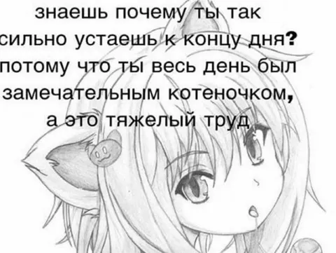Замечательный котёночек устал