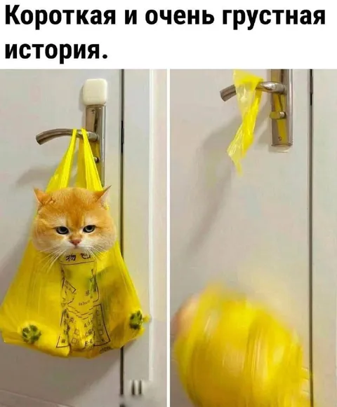 Очень грустная история кота