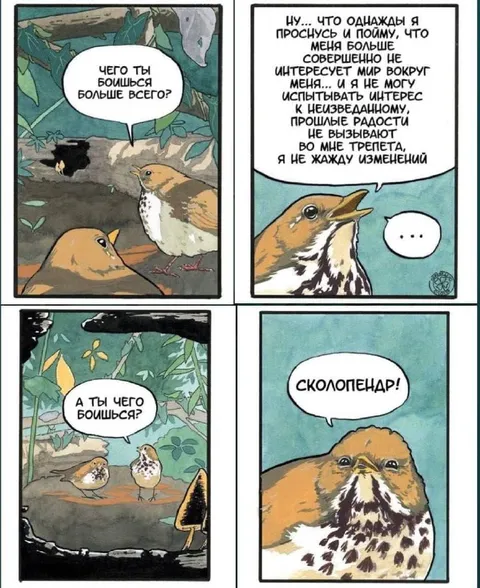 Чего ты боишься больше всего?