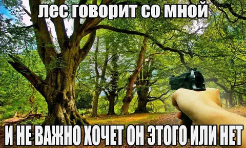 Лес говорит со мной