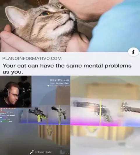 Your Cat Has Mental Problems