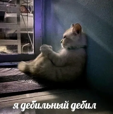 Я дебильный дебил