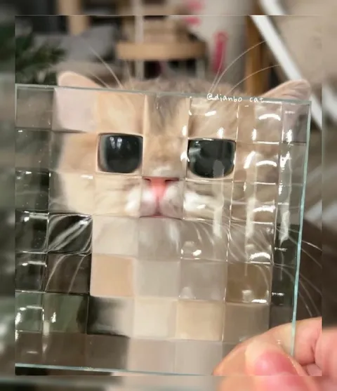 Кот за стеклом