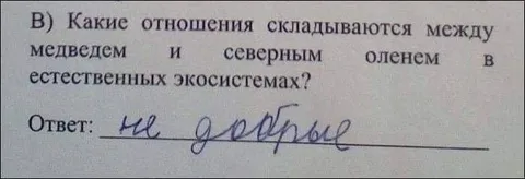 Не добрые отношения медведя и оленя