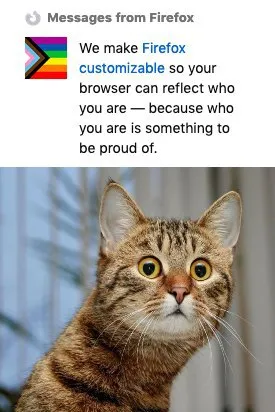 Browser Can Reflect Who You Are