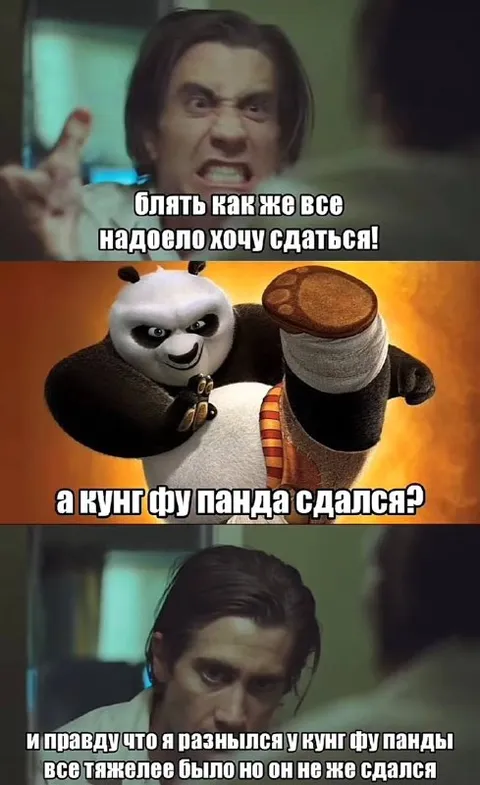 Кунг-фу панда не сдаётся