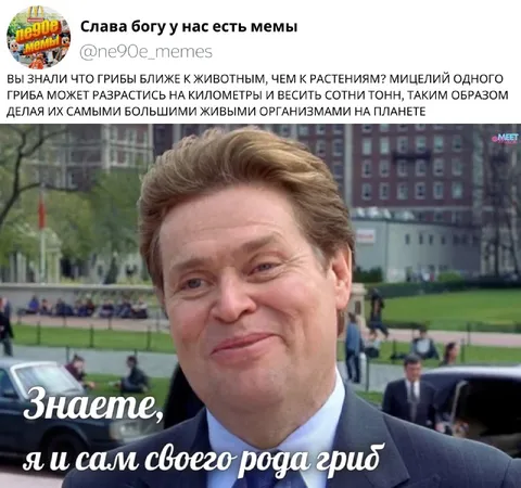 Я и сам своего рода гриб