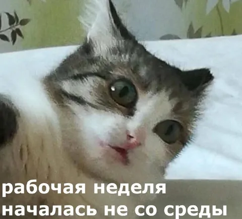 Рабочая неделя началась раньше