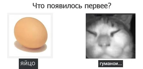 Что появилось первее: яйцо или гуманоид