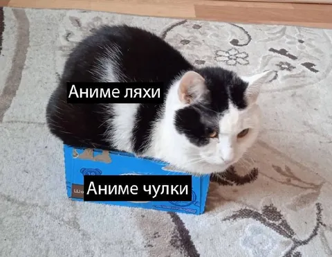 Аниме ляхи и чулки