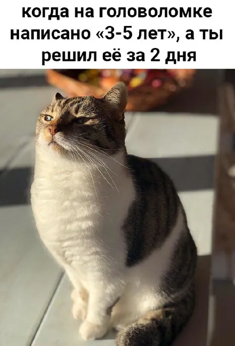 Головоломка за два дня