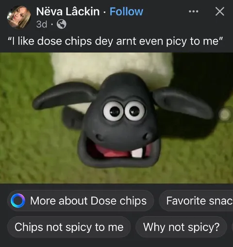 Sheep Loves Non-Spicy Chips