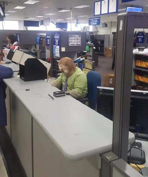 Обезьяна за рабочим столом
