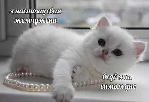 Настоящая жемчужена на дне