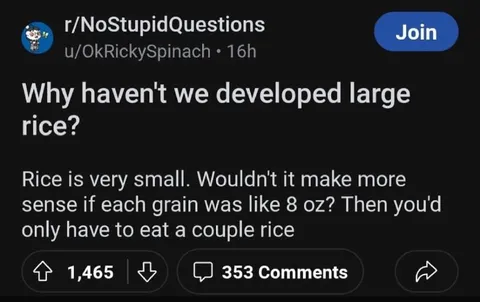 Why Not Make Large Rice?