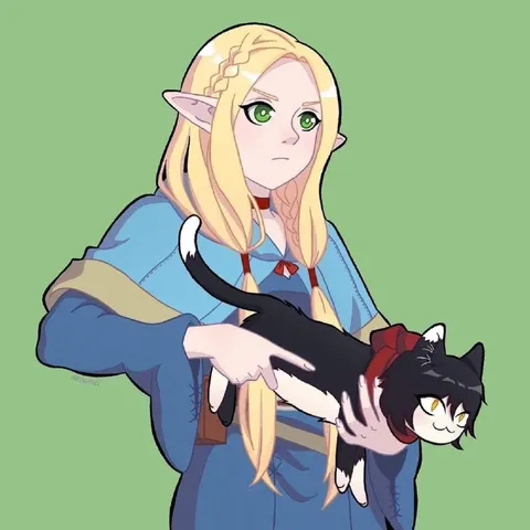 Эльфийка несёт кота