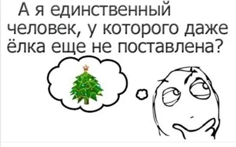 Ёлка ещё не поставлена