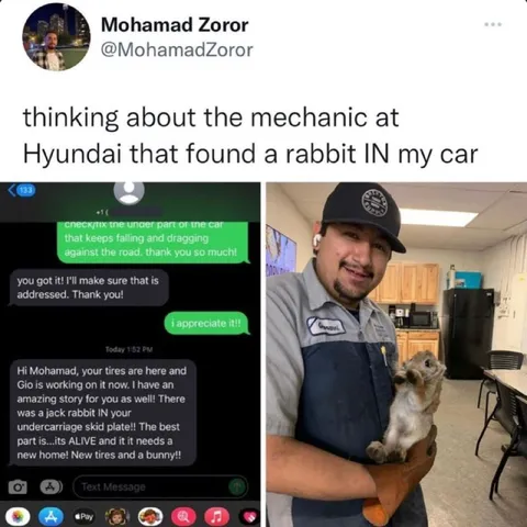 Mechanic Finds Rabbit in Car