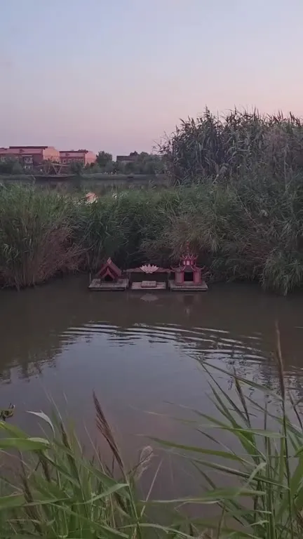 Утки у плавучего храма