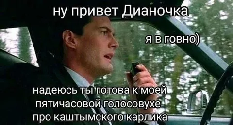Пятичасовая голосовуха Дианочке