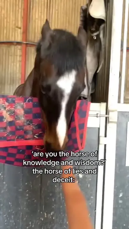 Horse of Lies and Deceit