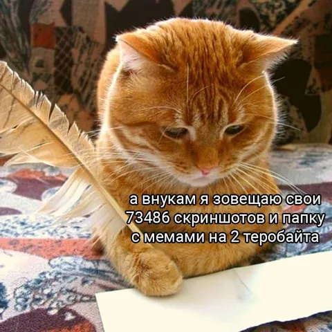 Завещание из скриншотов и мемов