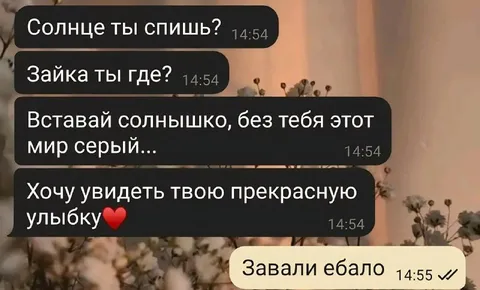 Завали ебало, солнышко