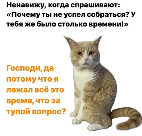 Когда спрашивают, почему не успел