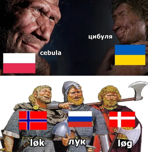 Лук на разных языках