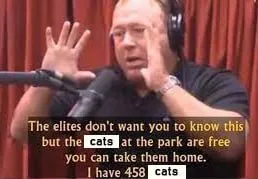The Elites and Free Park Cats