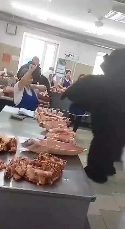 Горилла танцует в мясном магазине