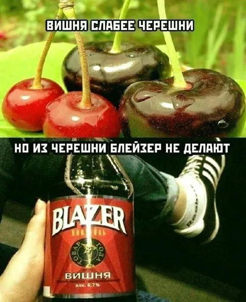 Вишня слабее черешни
