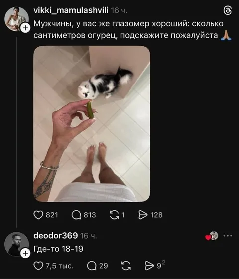 Глазомер и огурец