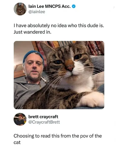 Cat Wanders Into the Conversation