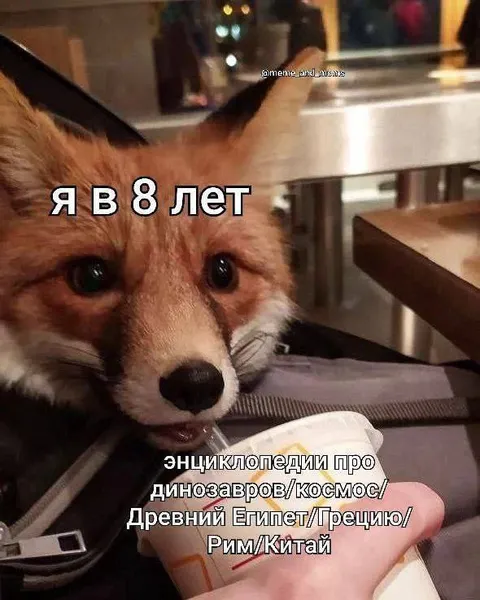 Я в 8 лет с энциклопедией